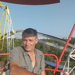 , 56, 