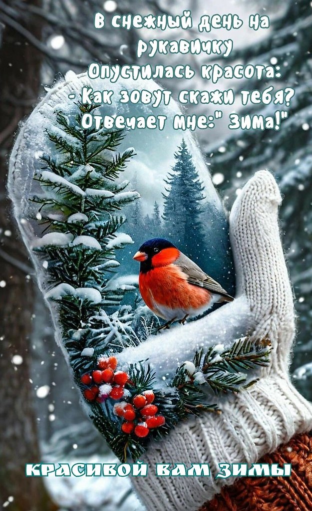 ₪╬═►  ||  ||  ◄═╬₪ - 1  2024  17:27
