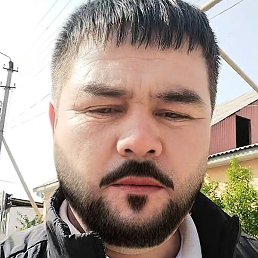 ������ �������, ������, 38 ���