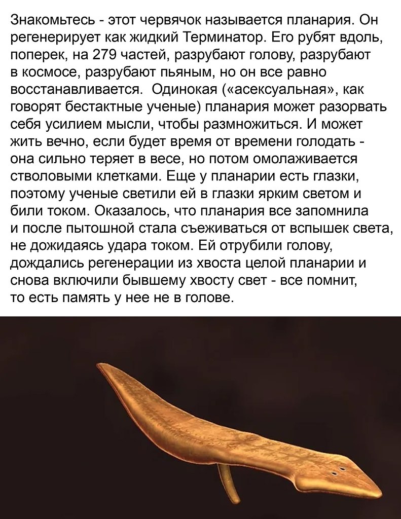 Discovery - 6  2024  03:19