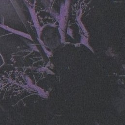 ����, ������, 22 ����