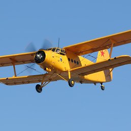 ���� A, ������, 52 ���� - ��������� 11 ������� 2024
