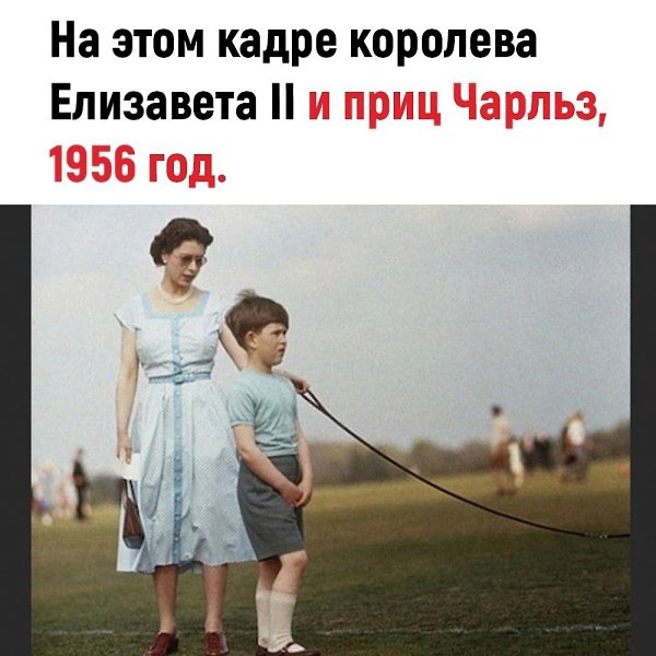 � ������ �������� ����� ����