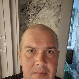 D, 44, 