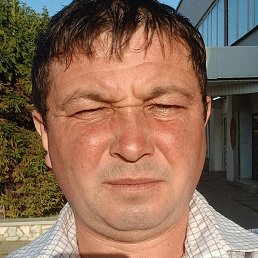 ������, ������, 38 ���