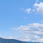 ������, 55 ���, ������