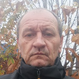 ������, ������, 55 ���