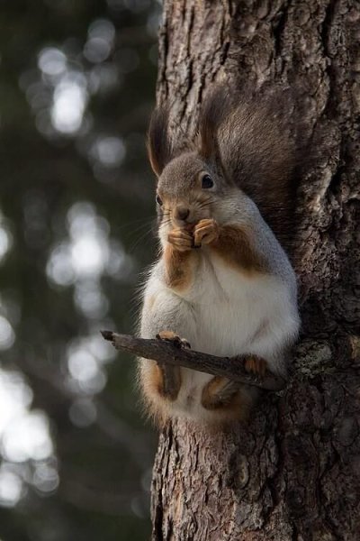 �� ����� ������! - 19 ������ 2025 � 19:58 - 2