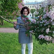 �����, 48 ���, �������