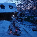 ���� �������, �����-���������, 61 ��� - ��������� 7 ������� 2025 � ������ ���� ����������