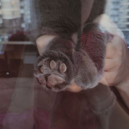 ���� Ann, ���������, 31 ��� - ��������� 28 ��� 2025
