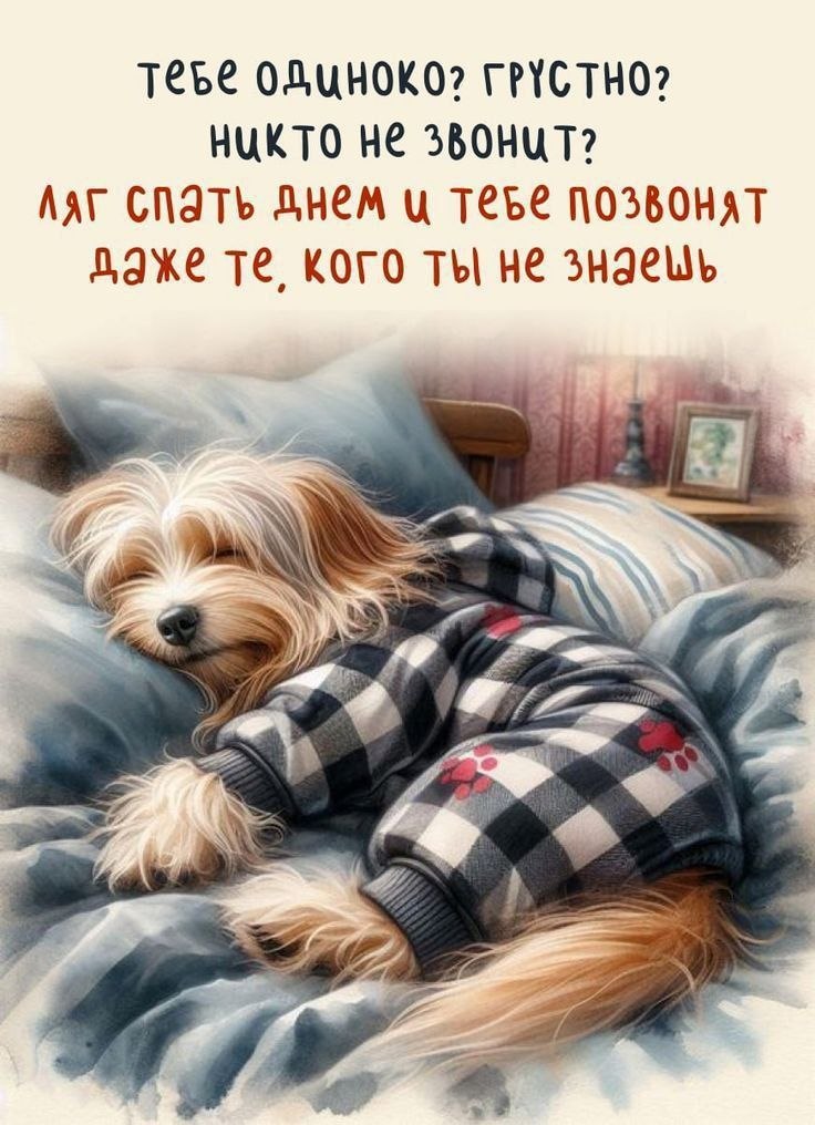 Всё будет хорошо! - 26 августа 2025 в 19:21