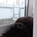 ���� ���������, �����������, 61 ��� - ��������� 14 ������ 2024 � ������ ���� ����������