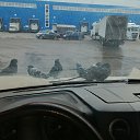 ���� �����, ������, 40 ��� - ��������� 25 ������� 2025