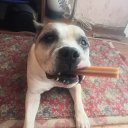 ���� ����, ����-���������, 44 ���� - ��������� 8 ������ 2024 � ������ ���� ����������