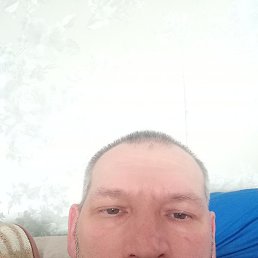 �����, ���������, 43 ����