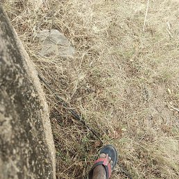 8ccb96ec514646758892d1b7, �������, 63 ����