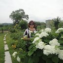 ���� ������, ����� - ��������� 22 ������� 2024 � ������ ���� ����������