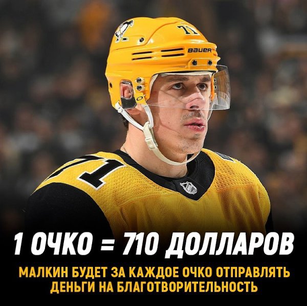 Малкин будет отдавать деньги на благотворительность за очки. Джино третий сезон подряд будет ...