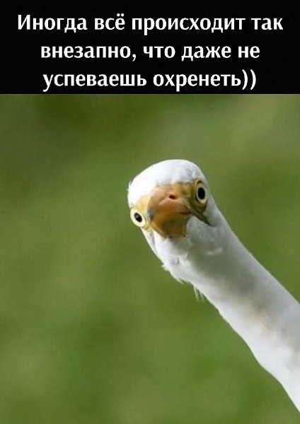   - 27  2025  15:14
