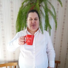 , 50, 