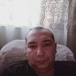 , 44, 