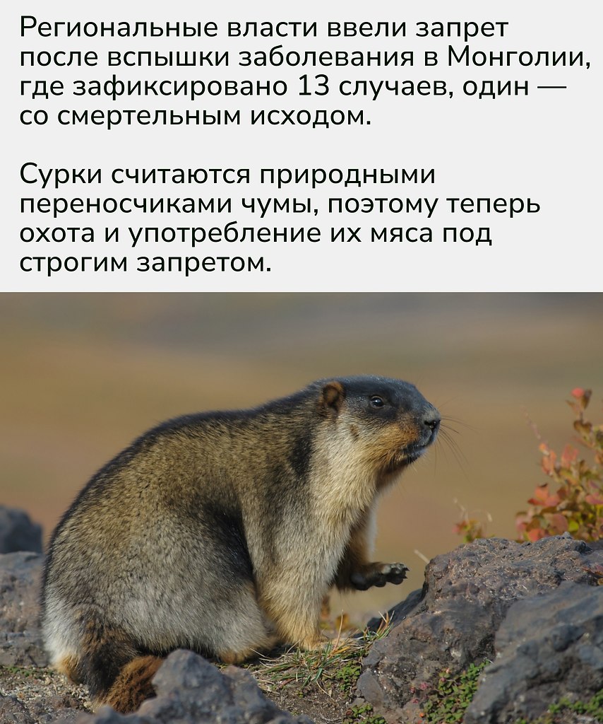 Напоминание из прошлого — даже в XXI веке природа всё ещё способна напугать сильнее любой эпидемии ... - 2