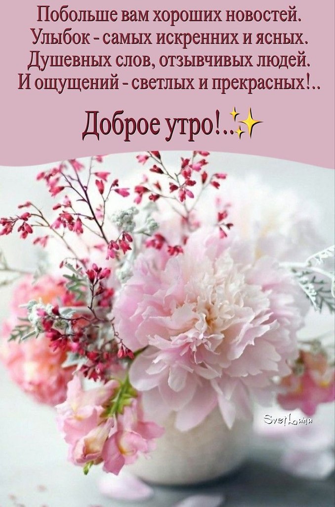   ,    . - 7  2024  23:35
