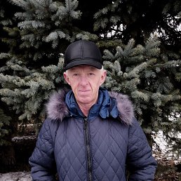 , 61, 