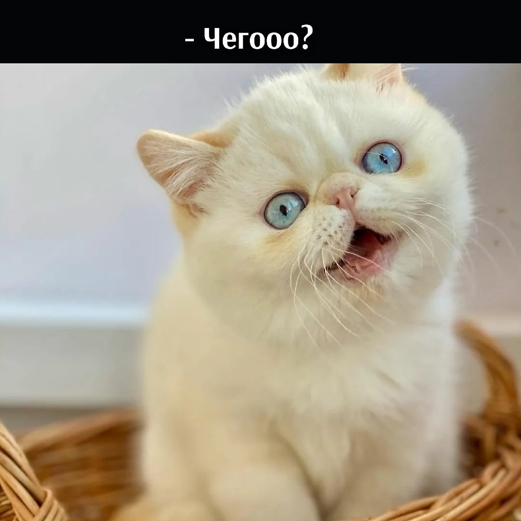 ��� ���� � ����� �� �� - 22 ������� 2026 � 22:00 - 2
