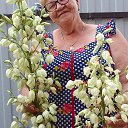  , --, 67  -  8  2025    