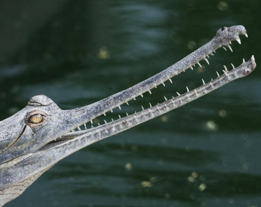  ,   ,     .  ,    ... - 3