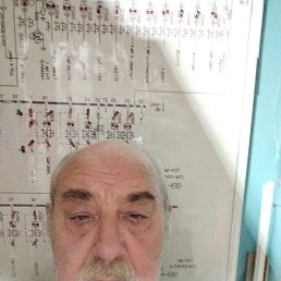, 57, 