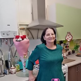, 61, 