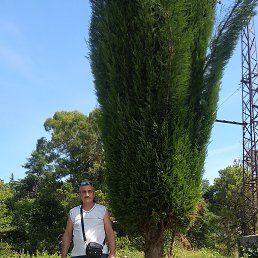 , 41, 