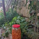 ���� �������, ������� - ��������� 20 ������� 2023 � ������ ����