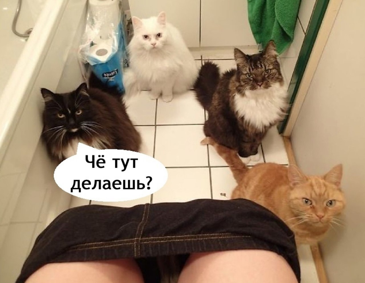   ,   