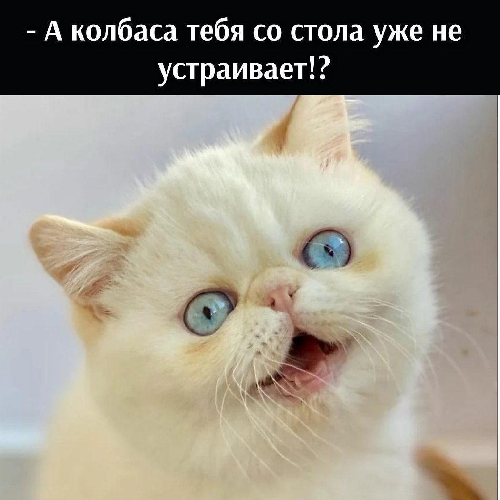 ��� ���� � ����� �� �� - 22 ������� 2026 � 22:00 - 3