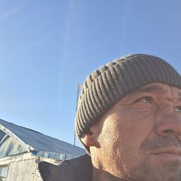 �������, ���������, 41 ���