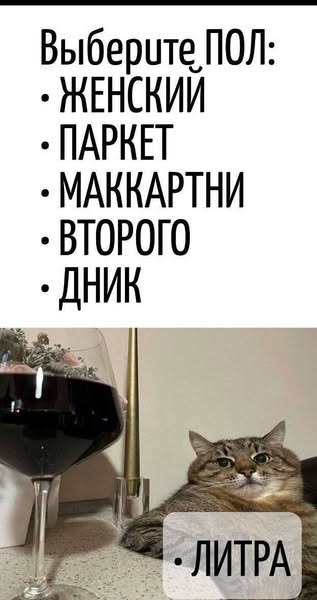   - 9  2025  11:06