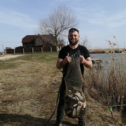 ���� �������, ����, 39 ��� - ��������� 18 ������� 2026