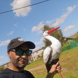 , 39, 