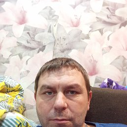 ����, 37 ���, ������