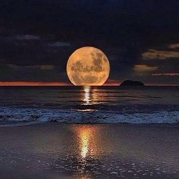 Aziz, ������, 39 ���