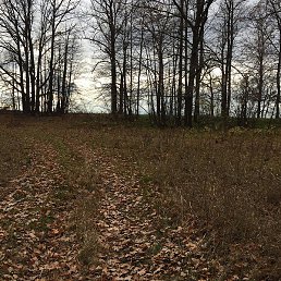 ������, ������