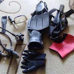 �������, ����-���������, 44 ����