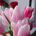 ���� ����, ���������, 42 ���� - ��������� 26 ������ 2026 � ������ ���� ����������
