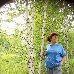 ���� �������, ����������, 65 ��� - ��������� 8 ������ 2026