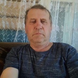 , 61, 