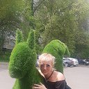���� �����, �����������, 51 ��� - ��������� 18 ����� 2024 � ������ ���� ����������